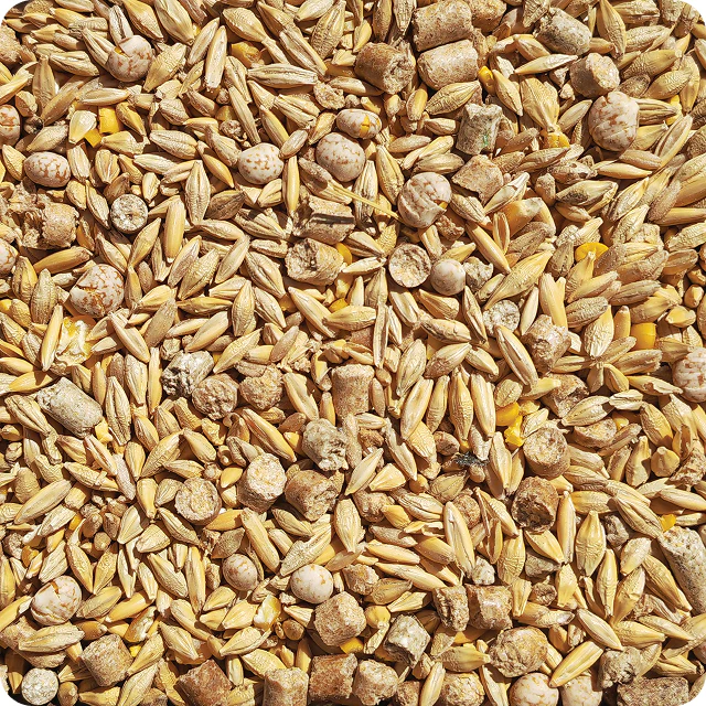 Boyd Metal Works livestock feed