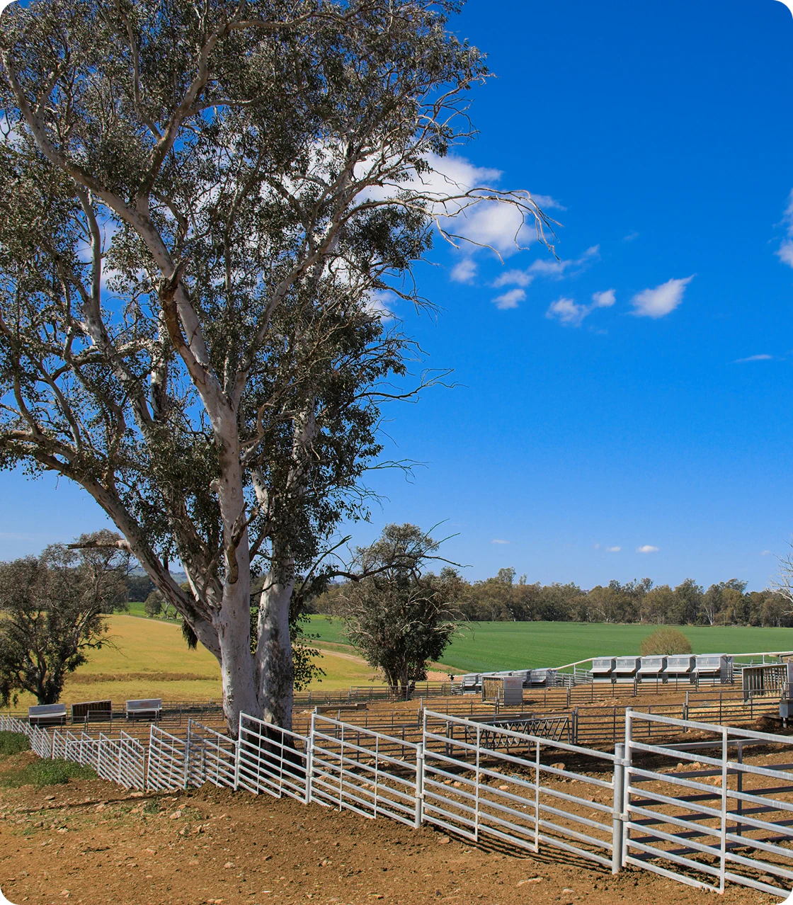 Boyd Feed Systems grain silos and augers