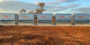 Automated lamb feedlot with Boyd Metal Works equipment